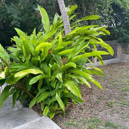 圣安尼Le Modrigue公寓 外观 照片